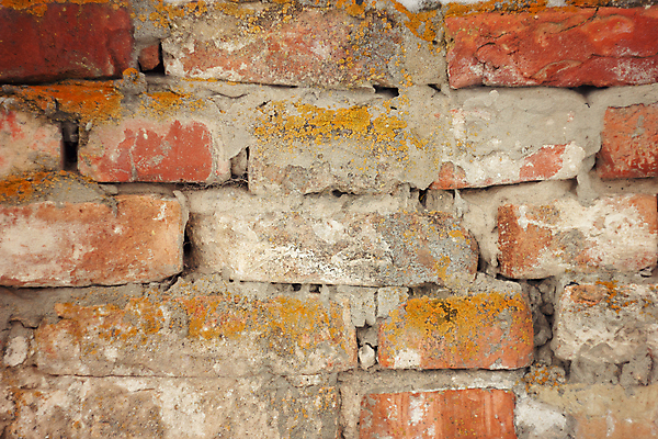 포토 JPG 해외이미지 벽 백그라운드 패턴 건축양식 벽지 표면 날씨 벽돌 사람없음 빨간색 블록 수확 거친 질감 복고 시멘트 그런지 석고 옛날 콘크리트 해외202004 해외포토 건축 컬러 무늬 농업 파일형식 이미지허브