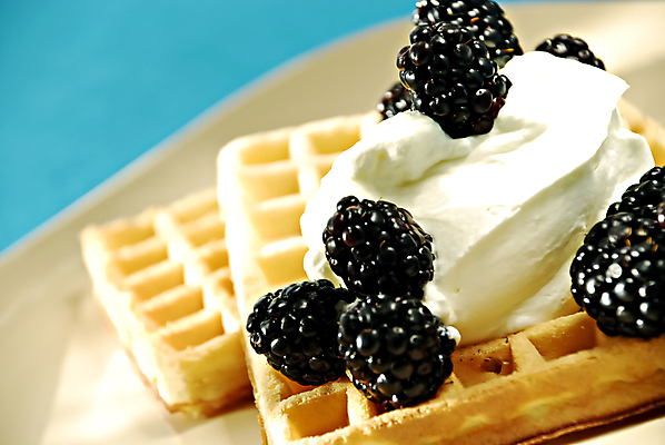 포토 JPG 해외이미지 열매 다이어트 과일 디저트 사람없음 달콤 맛 크림 블루베리 칼로리 푸딩 블랙베리 와플 휘핑크림 해외202004 해외포토 식물 음식 컨셉 건강 휘핑 파일형식 이미지허브