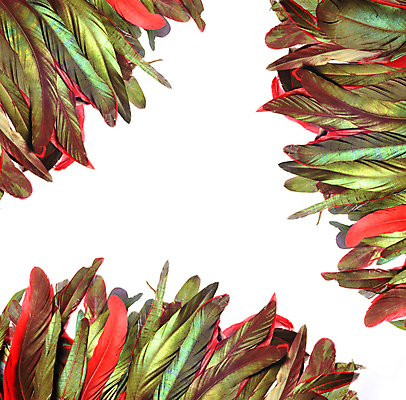 포토 JPG 해외이미지 동물 디자인 남자 야생동물 백그라운드 패턴 자연 조류 미술 사람없음 장식 초록색 빛 컬러풀 노란색 치킨 흰색 우아함 공작 깃털 오브젝트 질감 꼬리 솜털 수탉 고립 이국적 해외202004 해외포토 컬러 컨셉 무늬 문화예술 사람 닭 수컷 생태계 닭고기요리 파일형식 이미지허브