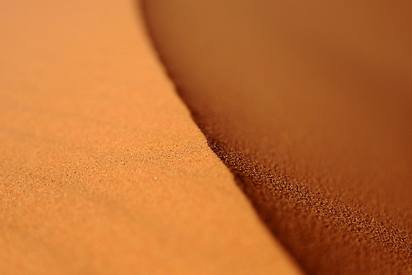 포토 JPG 해외이미지 모래 여행 백그라운드 패턴 오렌지 자연 표면 추상 건조 풍경 사람없음 야외 여름 노란색 사막 뜨거움 황무지 황금 땅 모래언덕 질감 먼지 가뭄 내추럴 해외202004 해외포토 계절 컬러 무늬 과일 날씨 언덕 생태계 파일형식 이미지허브