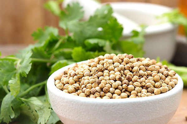 포토 JPG 해외이미지 식물 전통 계절 음식 잎 농업 채소 재료 자연 건조 파슬리 건강 요리 씨앗 사람없음 갈색 주방 중국 봄 시골 신선 양념 조미료 맛 다발 허브 보따리 유기농 매움 날것 아로마 향료 향 레시피 내추럴 샬롯 해외202004 해외포토 웰빙 산업 아시아 컬러 컨셉 양파 생태계 향기 냄새 향미료 파일형식 이미지허브