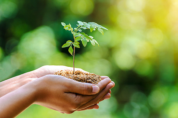 포토 JPG 해외이미지 나무 식물 손 지구 어린이 백그라운드 컨셉 잎 농업 가족 자연 사람 사람없음 초록색 물 세계 글로벌 환경 흙 봄 행성 에너지 성장 신선 보호 숲 에코 생태계 원예 리빙 유지 개발 돌봄 모종 바이오 생태학 소셜 심기 지구의날 해외202004 해외포토 자연요소 계절 교육 기념일 산업 컬러 관계 모션 취미 신체부위 우주 파일형식 이미지허브