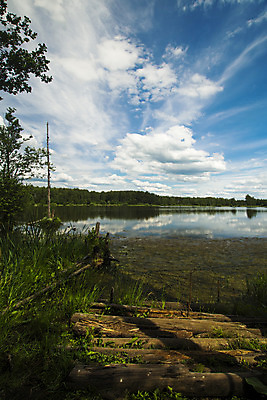 포토 JPG 해외이미지 나무 호수 자연 하늘 표면 풍경 사람없음 물 여름 파란색 반사 저수지 연못 매끈함 숲 러시아 해외202004 해외포토 자연요소 식물 계절 유럽 컬러 감각 생태계 파일형식 이미지허브