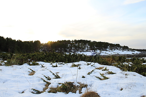포토 JPG 해외이미지 나무 겨울 자국 자연 하늘 산 파노라마 노르웨이 풍경 사람없음 파란색 여행객 계곡 등산 트래킹 바위 흰색 정상 숲 언덕 해외202004 해외포토 식물 계절 유럽 컬러 레저 촬영기법 사람 돌_바위 생태계 파일형식 이미지허브