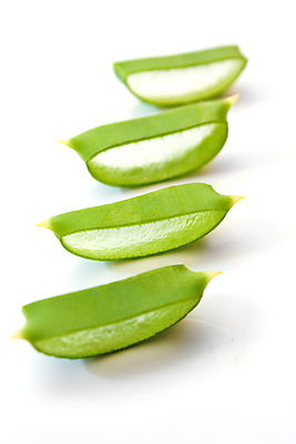 포토 JPG 해외이미지 조각 사람없음 자르기 피부관리 흰배경 슬라이스 알로에 치유 알로에베라 해외202004 해외포토 식물 백그라운드 모션 뷰티 흰색 파일형식 이미지허브