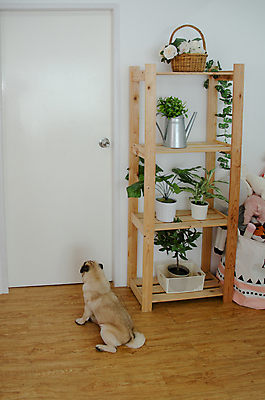 포토 JPG 해외이미지 동물 라이프스타일 남자 행복 백그라운드 자연 놀이 아침 주택 따뜻함 사랑 미소 사람 동양인 소년 사람없음 야외 초록색 반려동물 소파 방 흰색 침대 시간 개 리트리버 강아지 벌레 주인 고립 해외202004 해외포토 주간 감정 어린이 컬러 가구 곤충 의자 포유류 표정 인종 건물 생활 생태계 파일형식 이미지허브