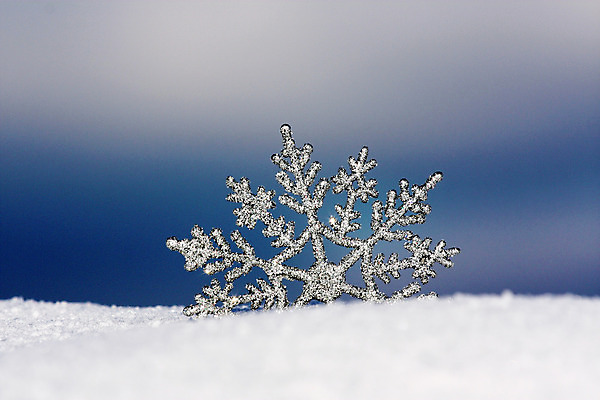 포토 JPG 해외이미지 모양 전통 계절 포스터 별 조각 백그라운드 크리스마스 겨울 패턴 자연 벽지 날씨 휴가 새로움 기념 사람없음 장식 파란색 냉동 얼음 축제 추위 흰색 축하 인사 신용카드 눈송이 화려 12월 크리스탈 연도 질감 서리 1월 고립 폭설 눈내림 해외202004 해외포토 자연요소 기념일 컬러 컨셉 무늬 눈_날씨 금융 예절 날짜 광석 자연재해 생태계 파일형식 이미지허브