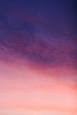 포토 JPG 해외이미지 구름 분홍색 백그라운드 부분 자연 벽지 하늘 날씨 파노라마 풍경 사람없음 야외 빛 컬러풀 햇빛 평화 고요 황혼 일몰 새벽 오픈 분위기 저녁 제비꽃 즐거움 장면 신성 천국 흐림 내추럴 해외202004 해외포토 자연요소 꽃 감정 컬러 컨셉 촬영기법 태양 노을 야간 생태계 파일형식 이미지허브