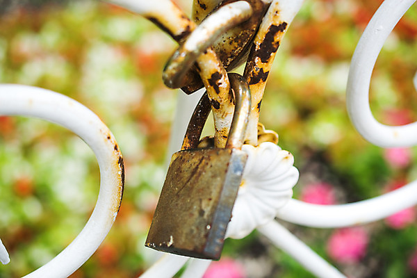 포토 JPG 해외이미지 전통 꽃 분홍색 결혼 크리스마스 신혼부부 열쇠 자물쇠 발렌타인데이 사랑 사람없음 장식 빨간색 초록색 금속 흰색 하트 심볼 잠금 해외202004 해외포토 모양 식물 부부 기념일 감정 컬러 데이이벤트 재질 이벤트 보안 신혼 파일형식 이미지허브