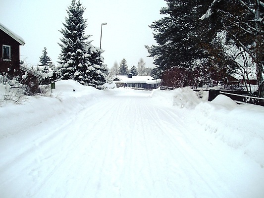 포토 JPG 해외이미지 나무 도로 겨울 하늘 주택 사람없음 회색 인쇄 사인 트랙 자취 해외202004 해외포토 식물 계절 길 컬러 교통시설 건물 파일형식 이미지허브