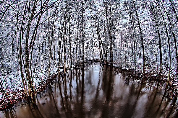 포토 JPG 해외이미지 나무 계절 공원 여행 백그라운드 겨울 자연 하늘 아침 날씨 풍경 사람없음 야외 목재 물 빛 강 태양 일출 환경 냉동 얼음 침묵 흐름 추위 흰색 나뭇가지 야간 저녁 숲 11월 북극 서리 장면 북쪽 내추럴 해외202004 해외포토 주간 자연요소 식물 공공시설 컬러 컨셉 재료 노을 소리 날짜 극지방 방향 생태계 파일형식 이미지허브