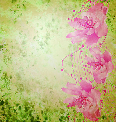 포토 JPG 해외이미지 디자인 꽃 종이 분홍색 결혼 백그라운드 컨셉 잎 꽃무늬 패턴 일러스트 자연 벽지 추상 프레임 선물 사랑 미술 사람없음 그래픽 장식 빨간색 장미 우주 봄 수확 벚꽃 흰색 신용카드 거친 질감 복고 페이지 그런지 스크랩북 엘리먼트 옛날 해외202004 해외일러스트 식물 계절 감정 컬러 무늬 농업 문화예술 이벤트 금융 생태계 파일형식 이미지허브