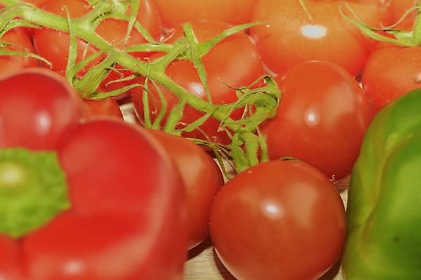 포토 JPG 해외이미지 식물 전통 음식 백그라운드 다이어트 토마토 채소 재료 자연 탁자 피망 건강 요리 사람없음 목재 빨간색 초록색 여름 주방 정원 식사 저녁식사 샐러드 나뭇가지 시골 신선 체리 그룹 맛 케첩 먹기 준비 유기농 생물학 날것 후추 내추럴 점심식사 바이오 숙성 채식주의자 해외202004 해외포토 나무 웰빙 계절 교육 컬러 가구 컨셉 과일 모션 소스_음식 향신료 생태계 채식 파일형식 이미지허브