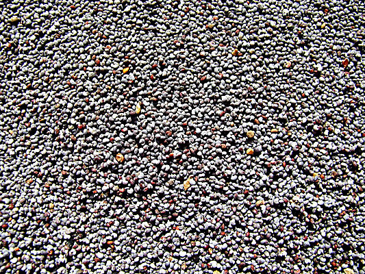 포토 JPG 해외이미지 식물 음식 백그라운드 농업 재료 장신구 추상 건조 건강 요리 씨앗 동양인 사람없음 쌓기 주방 회색 양념 닫기 굽기 향신료 묘사 측정 오브젝트 유기농 질감 알맹이 양귀비 흙더미 내추럴 많음 해외202004 해외포토 웰빙 꽃 산업 컬러 컨셉 무늬 모션 인종 흙 구이 향미료 파일형식 더미 이미지허브