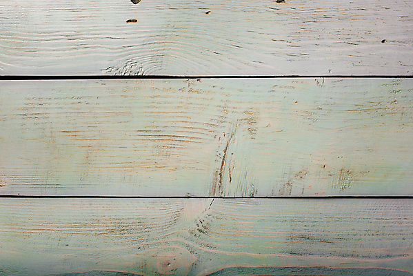 포토 JPG 해외이미지 나무 백그라운드 근접촬영 사람없음 목재 흰색 질감 카피스페이스 해외202004 해외포토 식물 뷰포인트 컬러 재료 공백 파일형식 이미지허브