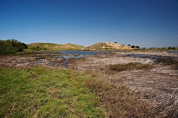 포토 JPG 해외이미지 라이프스타일 공원 야생동물 여행 자국 자연 휴가 휴식 산 풍경 사람없음 야외 여름 우주 맑음 일몰 목장 산책 트래킹 하이킹 만 오픈 습지 언덕 캘리포니아 지역 동쪽 일반 샌프란시스코 해외202004 해외포토 동물 계절 공공시설 컨셉 레저 날씨 생활 노을 미국 방향 생태계 파일형식 이미지허브