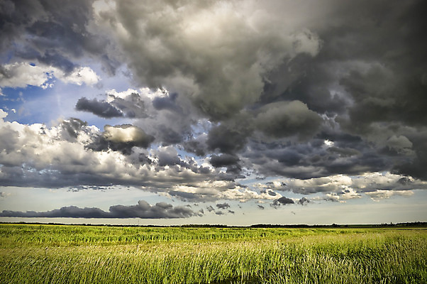 포토 JPG 해외이미지 식물 구름 음식 백그라운드 밭 농업 자연 하늘 날씨 풍경 사람없음 야외 초록색 여름 파란색 농작물 농장 노란색 환경 맑음 어둠 봄 시골 신선 땅 시리얼 밀 장면 폭풍 내추럴 밭일 평야 수평선 해외202004 해외포토 자연요소 계절 산업 컬러 곡류 생태계 파일형식 이미지허브