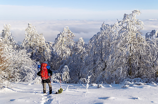 포토 JPG 해외이미지 나무 1 길 여행 겨울 배낭 자국 자연 하늘 날씨 휴가 휴식 한명 사람 풍경 야외 빛 햇빛 태양 여행객 평화 맑음 얼음 산책 트래킹 하이킹 추위 자유 안개 황무지 숲 오솔길 서리 천국 스카이라인 삼림지대 혼자 눈내림 수평선 해외202004 해외포토 자연요소 식물 계절 컨셉 가방 레저 눈_날씨 생태계 파일형식 이미지허브