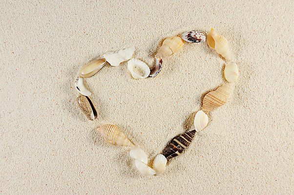 포토 JPG 해외이미지 모양 모래 바다 백그라운드 컨셉 패턴 텍스트 조개 나선형 사랑 사람없음 장식 모래사장 껍질 하트 그룹 소라 편지 수집 심볼 질감 가리비 해외202004 해외포토 감정 무늬 어패류 파일형식 이미지허브