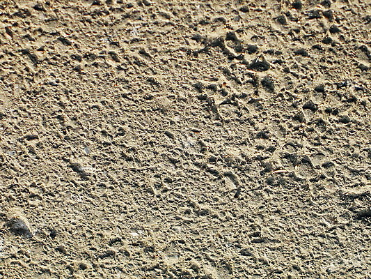 포토 JPG 해외이미지 벽 백그라운드 패턴 건축양식 자연 표면 추상 사람없음 골동품 거친 역사 질감 체코 프라하 내추럴 옛날 지질학 콘크리트 해외202004 해외포토 교육 건축 유럽 무늬 생태계 파일형식 이미지허브