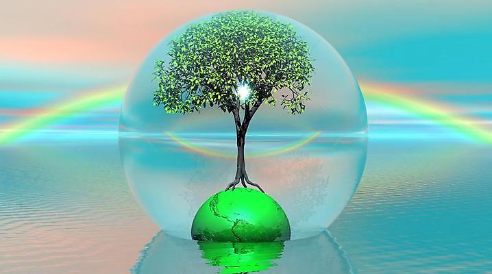 포토 JPG 해외이미지 나무 식물 지구 바다 분홍색 무지개 잎 일러스트 자연 사람없음 초록색 여름 파란색 반사 3D 평화 침묵 거품 보호 보안 뿌리 내추럴 생태학 수평선 해외202004 해외일러스트 자연요소 계절 교육 컬러 컨셉 안전 소리 디지털합성 생태계 파일형식 이미지허브