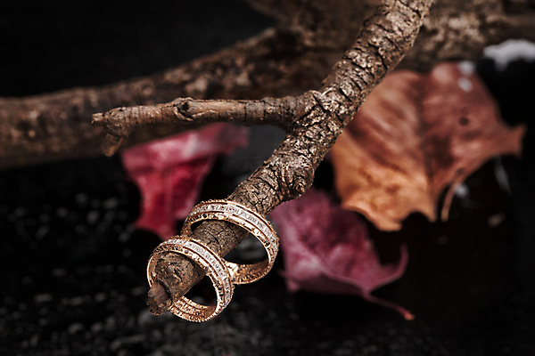 포토 JPG 해외이미지 결혼 백그라운드 잎 유리 결혼식 불꽃 건조 선물 사랑 사람없음 장식 빛 반사 유행 금속 가을 바위 나뭇가지 축하 반지 원형 화려 황금 고급 우아함 은색 크리스탈 보석 심볼 오브젝트 다이아몬드 약혼 보물 해외202004 해외포토 도형 나무 식물 계절 감정 컬러 컨셉 장신구 재질 불 이벤트 돌_바위 광석 약속 파일형식 이미지허브