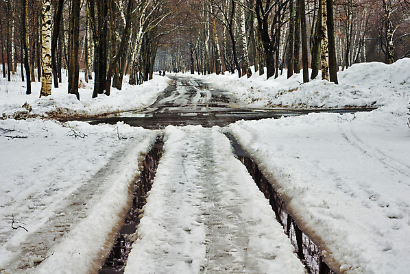 포토 JPG 해외이미지 나무 도로 길 겨울 자연 날씨 풍경 사람없음 목재 물 봄 흰색 숲 교차로 가득함 즐거움 서리 생태학 선로 가문비나무 해외202004 해외포토 자연요소 식물 계절 교육 감정 컬러 재료 교통시설 생태계 파일형식 이미지허브