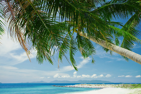 포토 JPG 해외이미지 식물 모래 바다 섬 여행 하늘색 잎 태국 자연 하늘 휴가 휴식 손바닥 사람없음 여름 태양 수영 침묵 기쁨 만 휴게실 선탠 크루즈 휴양지 몰디브 파라다이스 해외202004 해외포토 자연요소 손 계절 감정 아시아 컨셉 배_교통 파란색 소리 장소 수상스포츠 생태계 파일형식 이미지허브