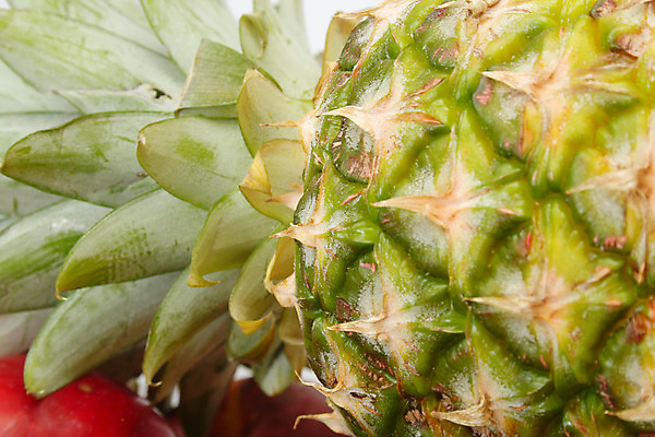 포토 JPG 해외이미지 식물 문화 음료 음식 줄기 섬 백그라운드 잎 다이어트 오렌지 과일 자연 디저트 건강 사람없음 초록색 여름 노란색 주스 흰색 신선 달콤 먹기 파인애플 오브젝트 상쾌 유기농 질감 날것 하와이 향기 길이 숙성 하와이인 해외202004 해외포토 외국인 웰빙 계절 감정 컬러 모션 미국 맛 열대과일 생태계 냄새 파일형식 이미지허브
