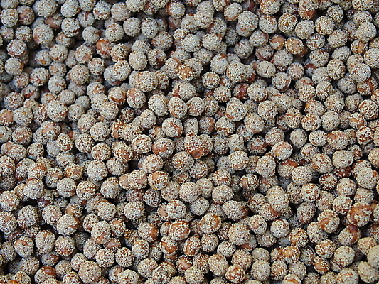 포토 JPG 해외이미지 조각 여행 백그라운드 과일 휴가 새해 건조 사탕 선물 씨앗 사람없음 쌓기 쿠키 요식업 초콜릿 축제 신선 체리 조직 달콤 가루 영화관 굽기 유기농 날것 소금 깨 양귀비 꿀 칠면조 녹말 단백질 대두 병아리콩 짠맛 채식주의자 특별함 핵심 해외202004 해외포토 식물 웰빙 꽃 산업 컨셉 식재료 모션 조류 디저트 콩 조미료 맛 극장 구이 채식 영양소 파일형식 이미지허브