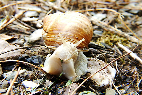 포토 JPG 해외이미지 사람없음 동물상 해외202004 해외포토 조형물 파일형식 이미지허브