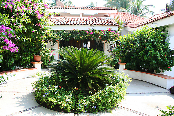 포토 JPG 해외이미지 식물 꽃 창문 교실 유리 성공 멕시코 주택 손바닥 풍경 사람없음 금융 정원 재산 맨션 입장 조경 지역 이웃 독립 전용 진짜 플로리다 해외202004 해외포토 손 교육 컨셉 북아메리카 학교 재질 건물 경제 미국 파일형식 이미지허브