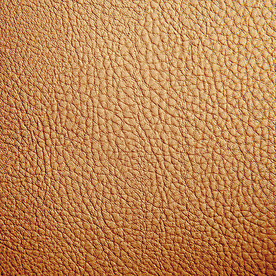 포토 JPG 해외이미지 동물 디자인 백그라운드 패턴 자연 벽지 추상 사람없음 갈색 어둠 공백 덮개 주름 가죽 피부 질감 결 숨김 내추럴 옛날 인공 진짜 해외202004 해외포토 컬러 컨셉 무늬 신체부위 뚜껑 생태계 파일형식 이미지허브