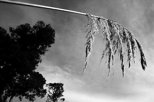 포토 JPG 해외이미지 나무 식물 공원 섬 여행 새로움 사람없음 야외 세계 트래킹 캠핑 하이킹 황무지 재산 화산 북쪽 멀리 건너기 해외202004 해외포토 공공시설 컨셉 모션 레저 산 금융 방향 파일형식 이미지허브