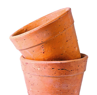 포토 JPG 해외이미지 화분 백그라운드 사람없음 꽃병 원예 해외202004 해외포토 꽃 취미 파일형식 이미지허브