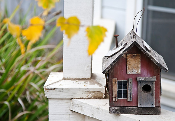 포토 JPG 해외이미지 모델 계절 야생동물 컨셉 조류 지붕 날씨 주택 사람없음 야외 건물 목재 장식 상자 세일 정원 봄 미니어처 시골 그리기 재산 둥지 보호 작음 새장 서식지 대출 수유 옛날 핸드메이드 해외202004 해외포토 나무 동물 건축물 재료 모션 금융 모형 크기 케이지 파일형식 이미지허브