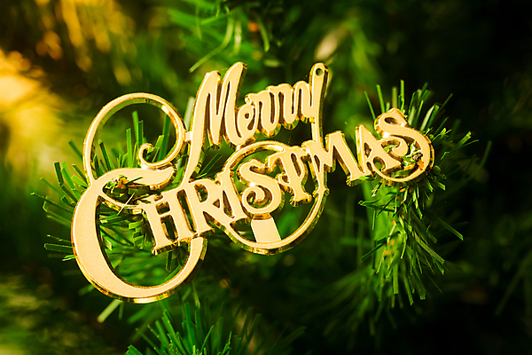 포토 JPG 해외이미지 나무 전통 디자인 계절 행복 백그라운드 크리스마스 겨울 패턴 공 유리 휴가 불꽃 새로움 주택 기념 따뜻함 선물 사람없음 내부 장식 빨간색 초록색 빛 노란색 축제 화환 방 흰색 축하 소나무 황금 야간 12월 연도 벽난로 블러 해외202004 해외포토 자연요소 식물 기념일 꽃 감정 컬러 컨셉 무늬 재질 불 건물 날짜 파일형식 이미지허브