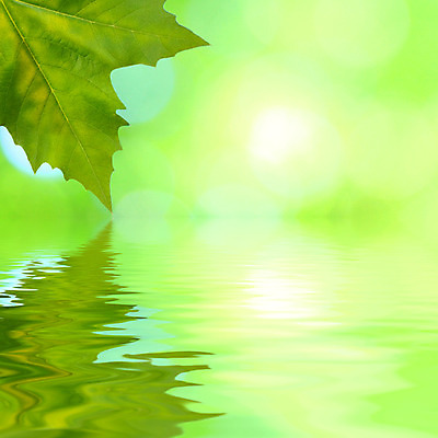 포토 JPG 해외이미지 나무 식물 공원 호수 파도 백그라운드 단풍 잎 자연 아침 추상 사람없음 야외 초록색 물 여름 빛 강 햇빛 반사 환경 화목 봄 거울 성장 흰색 물방울 나뭇가지 신선 닫기 숲 순수 유기농 내추럴 잔물결 해외202004 해외포토 주간 자연요소 웰빙 계절 공공시설 물결 바다 컬러 컨셉 무늬 모션 태양 생태계 파일형식 이미지허브