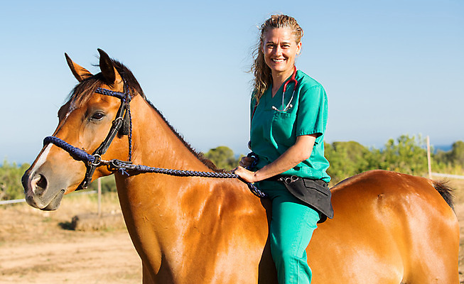 포토 JPG 해외이미지 동물 백인 직업 여자 남자 밭 포유류 한명 사람 약 농장 목장 고통 시험 의사 시골 소 승마 군중 승차 확인 문서 외과 수의사 돌봄 스페인어 아랍어 해외202004 해외포토 서양인 1 교육 감정 스포츠 농업 의학 모션 병원 의료진 파일형식 이미지허브