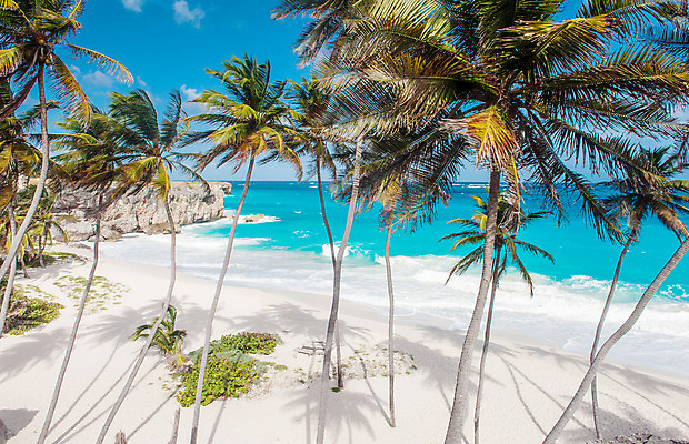 포토 JPG 해외이미지 나무 모래 파도 바다 섬 여행 백그라운드 자연 하늘 휴가 풍경 사람없음 물 여름 파란색 햇빛 태양 침묵 코코넛 대서양 석호 강렬 이국적 터키석 파라다이스 해외202004 해외포토 자연요소 식물 계절 컬러 과일 소리 보석 생태계 파일형식 이미지허브