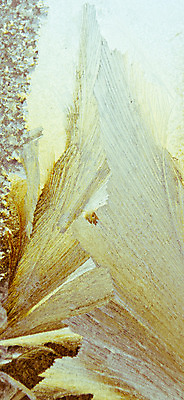 포토 JPG 해외이미지 백그라운드 겨울 패턴 창문 유리 추상 사람없음 얼음 추위 투명 크리스탈 질감 서리 내추럴 반투명 섬광 눈내림 해외202004 해외포토 자연요소 계절 무늬 재질 눈_날씨 광석 파일형식 이미지허브