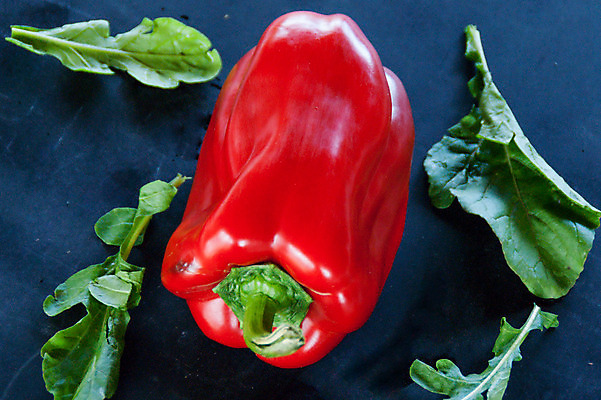 포토 JPG 해외이미지 음식 백그라운드 잎 농업 다이어트 채소 재료 자연 파프리카 건강 요리 사람없음 빨간색 초록색 빛 농장 식사 저녁식사 어둠 샐러드 시골 신선 뜨거움 달콤 맛 지중해 오브젝트 유기농 질감 날것 후추 내추럴 루꼴라 완벽 채식주의자 해외202004 해외포토 식물 웰빙 산업 바다 컬러 컨셉 향신료 생태계 채식 파일형식 이미지허브