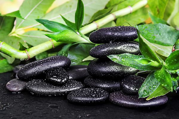 포토 JPG 해외이미지 나무 문화 줄기 백그라운드 컨셉 잎 불교 자연 건강 동양인 사람없음 장식 초록색 물 검은색 스파 중국 성장 물방울 나뭇가지 신선 마사지 이슬 수분 열대우림 대나무 암초 동쪽 현무암 해외202004 해외포토 자연요소 식물 아시아 종교 컬러 인종 숲 방향 생태계 화산암 파일형식 이미지허브