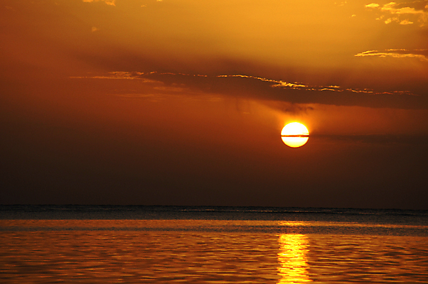 포토 JPG 해외이미지 나무 구름 모래 파도 바다 여행 백그라운드 오렌지 자연 하늘 아침 날씨 휴가 이집트 손바닥 풍경 사람없음 빨간색 물 여름 파란색 빛 컬러풀 태양 반사 노란색 일출 맑음 검은색 일몰 흰색 만 황금 장면 내추럴 수평선 해외202004 해외포토 주간 자연요소 식물 손 계절 컬러 과일 아프리카 노을 생태계 파일형식 이미지허브