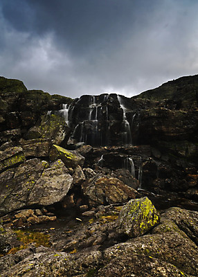 포토 JPG 해외이미지 식물 유럽 자연 산 북유럽 노르웨이 풍경 사람없음 야외 여름 스칸디나비아 해외202004 해외포토 계절 나라 생태계 파일형식 이미지허브