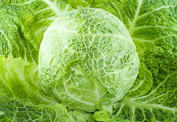 포토 JPG 해외이미지 라이프스타일 음식 다이어트 채소 자연 건강 사람없음 초록색 새싹 신선 먹기 유기농 양배추 날것 점심식사 숙성 채식주의자 케일 해외202004 해외포토 식물 웰빙 컬러 모션 생활 식사 생태계 채식 파일형식 이미지허브