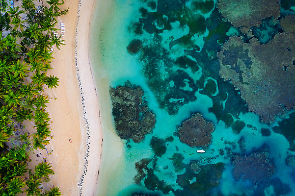 포토 JPG 해외이미지 모래 바다 섬 여행 백그라운드 자연 휴가 휴식 안테나 손바닥 풍경 사람없음 초록색 물 여름 파란색 모래사장 컬러풀 놀람 흰색 보트 정상 항공촬영 드론 이국적 터키석 파라다이스 해외202004 해외포토 자연요소 손 계절 감정 뷰포인트 컬러 컨셉 배_교통 통신 표정 보석 생태계 파일형식 이미지허브