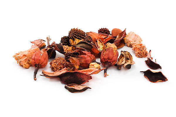 포토 JPG 해외이미지 디자인 음식 백그라운드 과일 재료 추상 건조 씨앗 사람없음 장식 갈색 가을 흰색 축하 그룹 달콤 유기농 고립 해외202004 해외포토 식물 웰빙 계절 컬러 컨셉 무늬 맛 파일형식 이미지허브