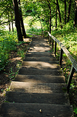 포토 JPG 해외이미지 나무 식물 계절 공원 길 호수 줄기 여행 잎 자국 자연 풍경 사람없음 야외 목재 초록색 물 여행객 계단 환경 정원 산책로 하이킹 탐험 가을 신선 숲 오솔길 방향 장면 일반 내추럴 방법 선로 옛날 해외202004 해외포토 자연요소 공공시설 컬러 재료 레저 사람 생태계 파일형식 이미지허브