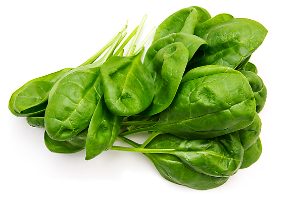 포토 JPG 해외이미지 식물 음식 백그라운드 잎 농업 다이어트 채소 재료 자연 건강 식이요법 요리 사람없음 목재 초록색 주방 식사 샐러드 흰색 신선 맛 상추 다발 먹기 허브 유기농 날것 시금치 내추럴 고립 바이오 채식주의자 비건 해외202004 해외포토 나무 웰빙 산업 컬러 컨셉 모션 생태계 채식 파일형식 이미지허브